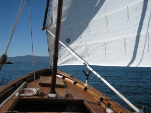 Descalsiña pola Ría